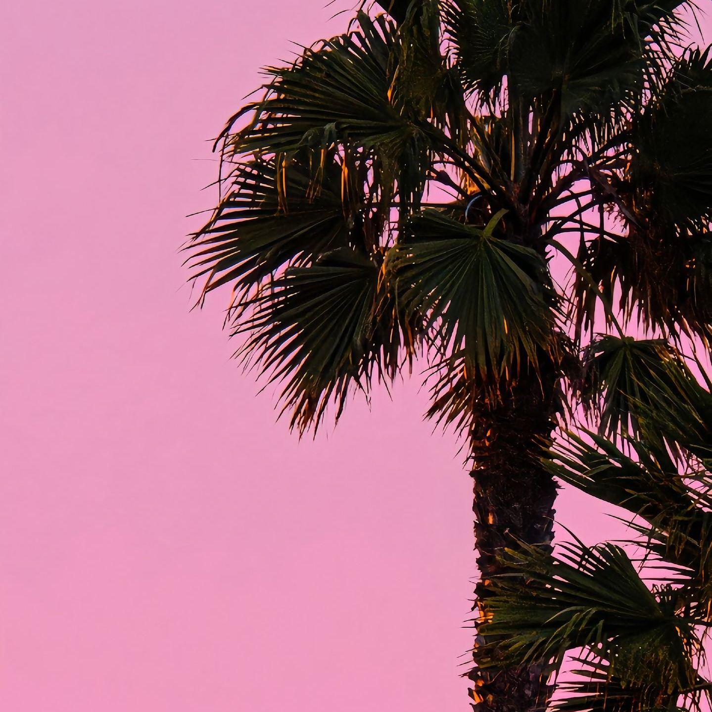 当时只道是寻常