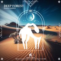 Deep Forest