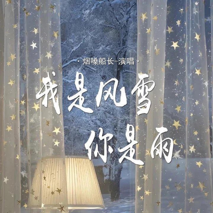 我是风雪你是雨封面