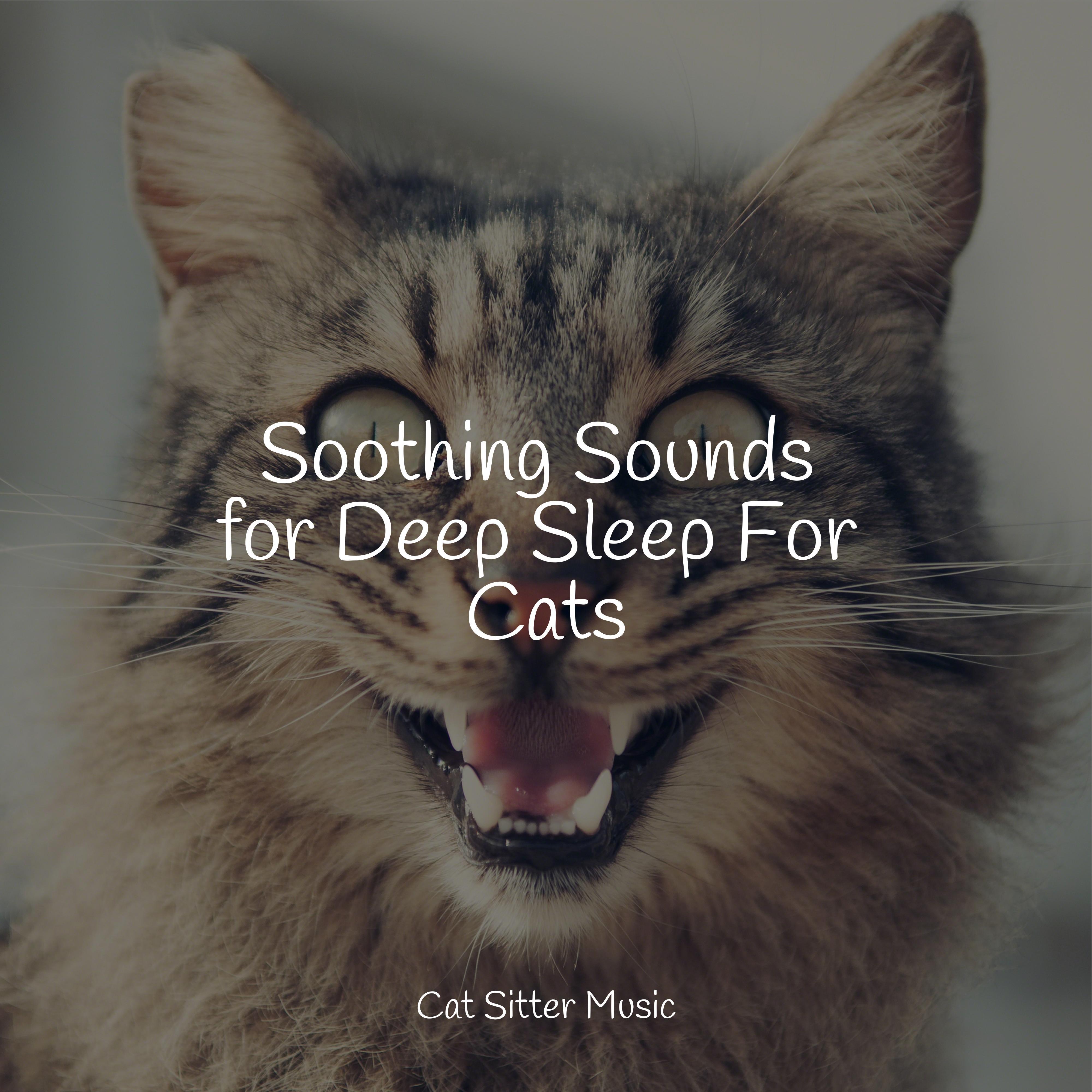 Soothing Sounds for Deep Sleep For Cats - Jazz Music for Cats - 专辑 - 网易云音乐