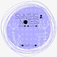 Synths And Notes, Vol. 2