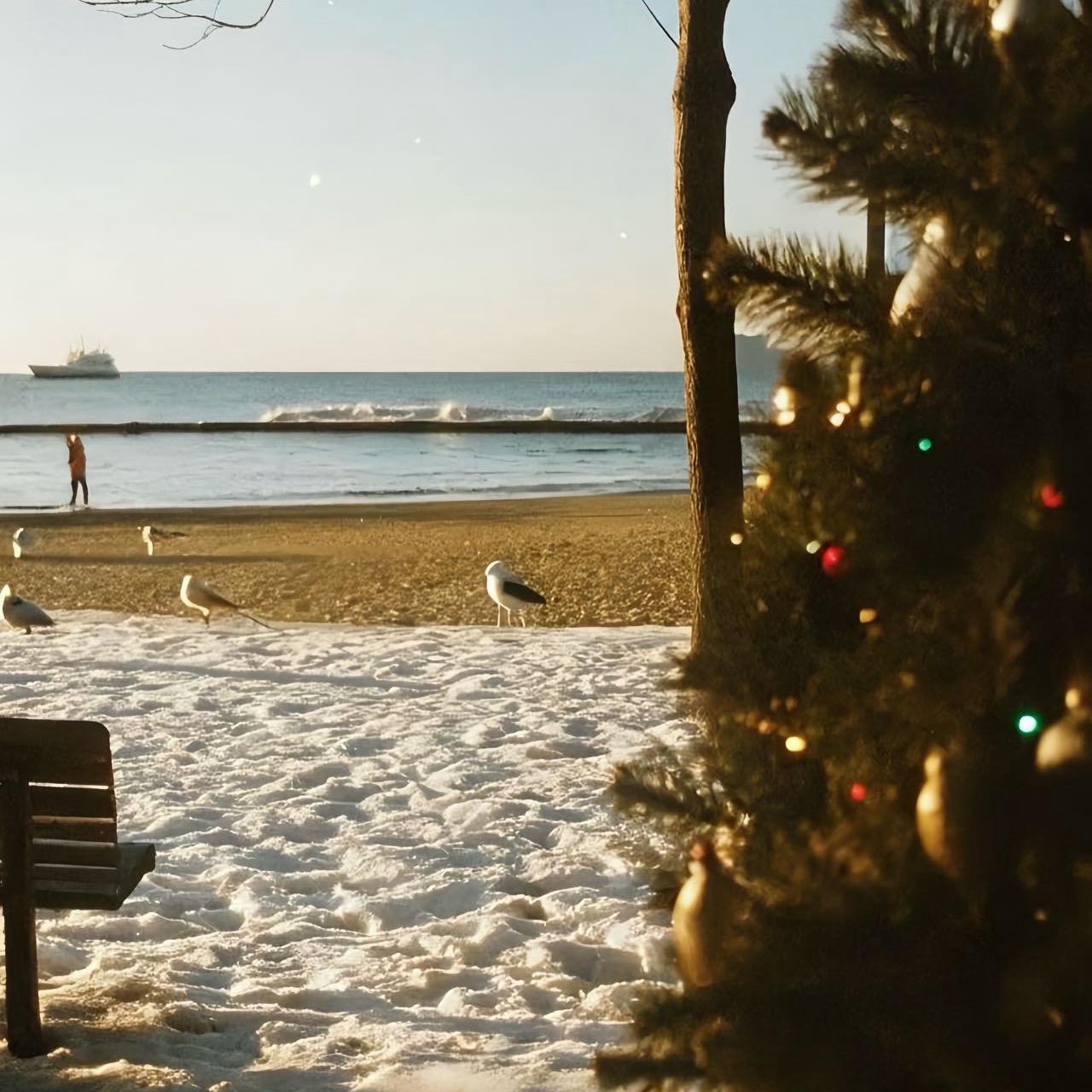 眼泪淹没地球后