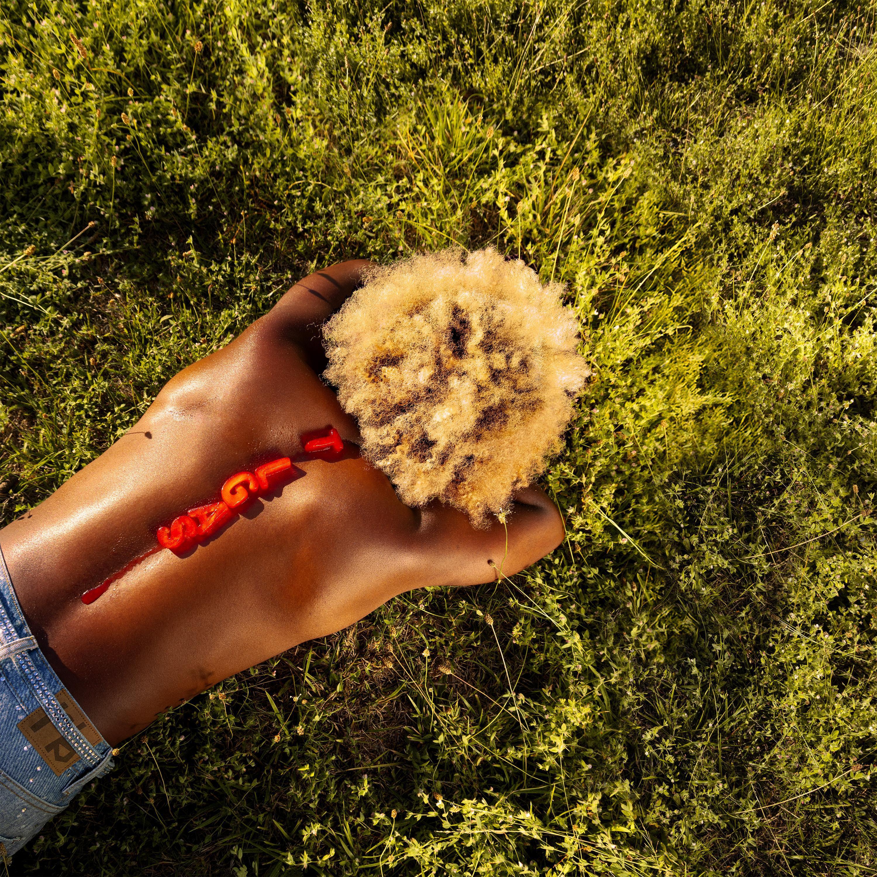 FAKE (feat. D Smoke)