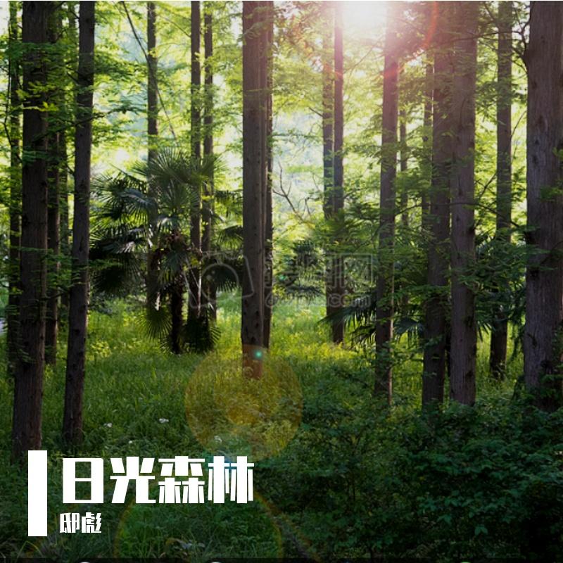 同桌的你 - 邸彪封面