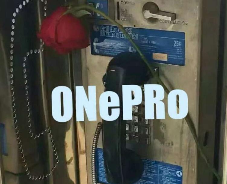 ONePRo
