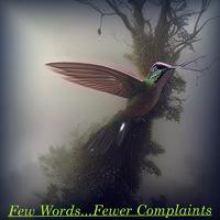 Few Words... Fewer Complaints (feat. Ryan James)