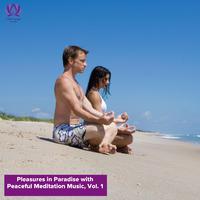 Pleasures in Paradise with Peaceful Meditation Music, Vol. 1