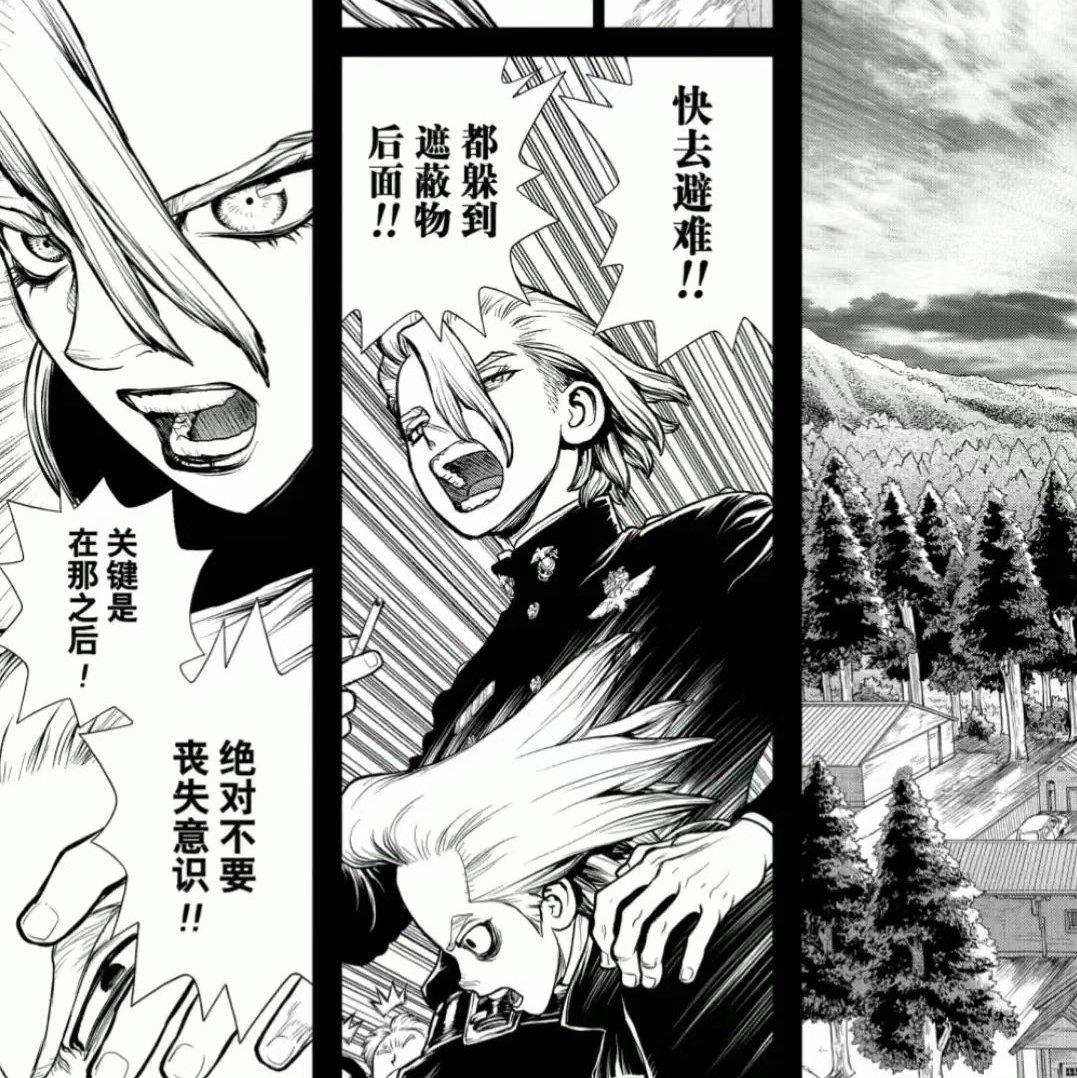 [ 美国组/千幻/龙sai ] 石纪元代餐