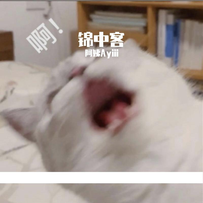 锦中客（翻自 国风堂）封面