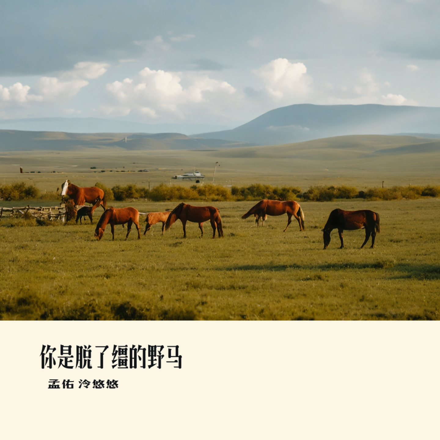 你是脱了缰的野马封面
