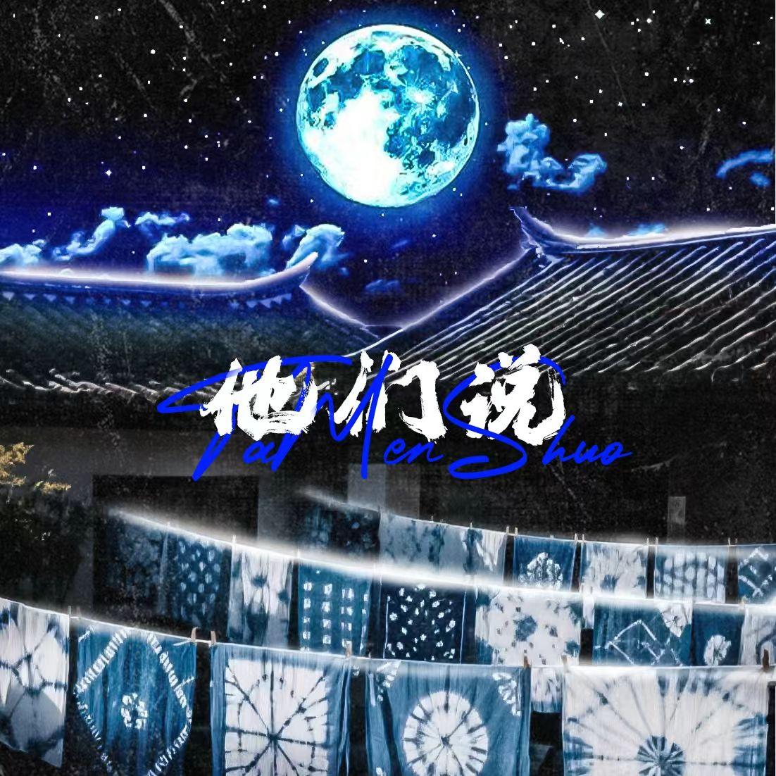 他们说封面
