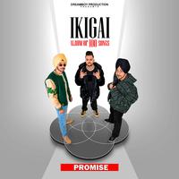 PROMISE (From The Album 