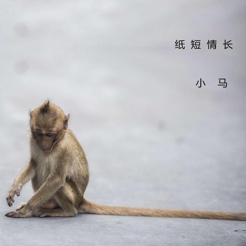 纸短情长 - 小马封面