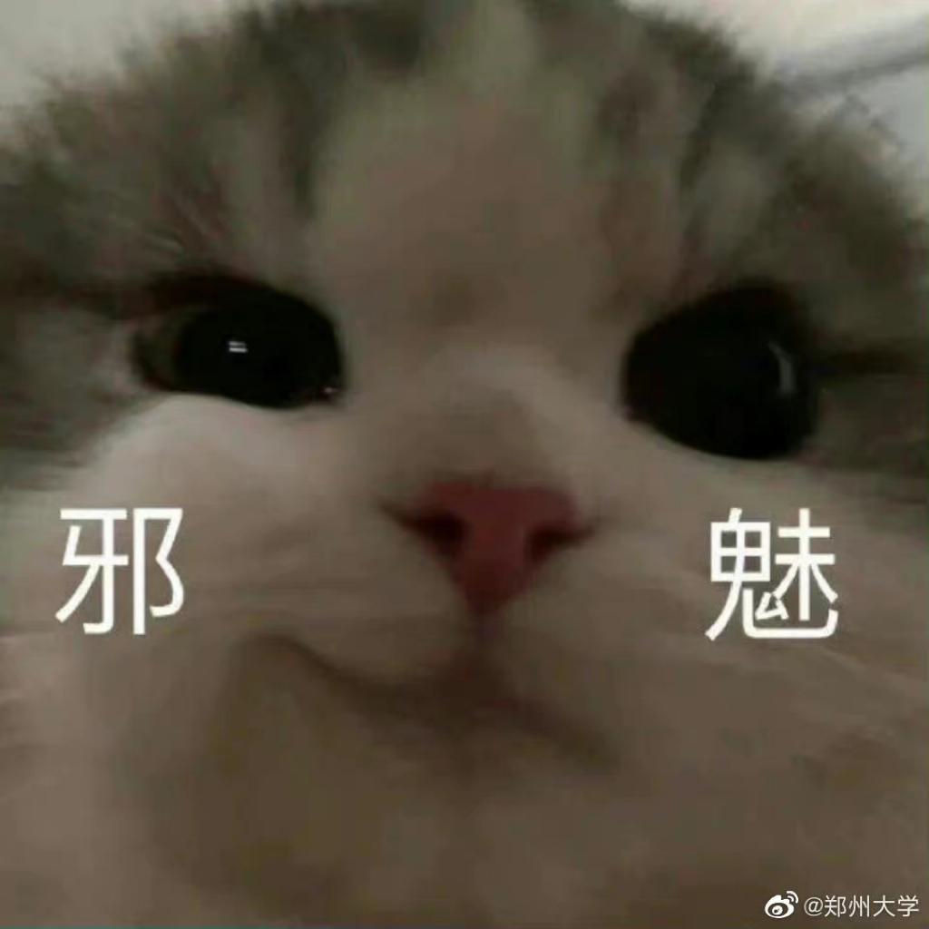 天天吃饭睡觉吃饭