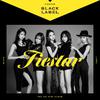 FIESTAR - Cold