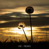 Vie (Remix)