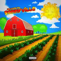 Welcome to Sonnyville