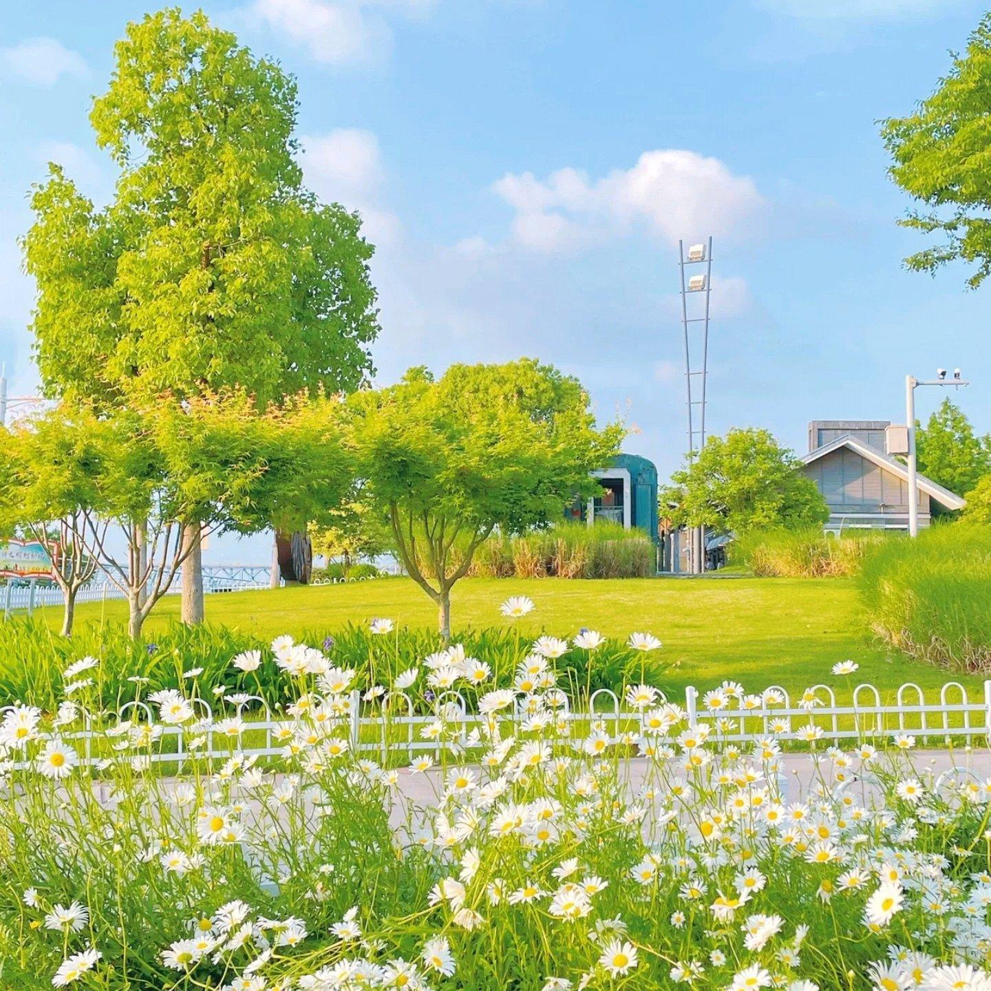 治愈系纯音乐｜聆听美好旋律