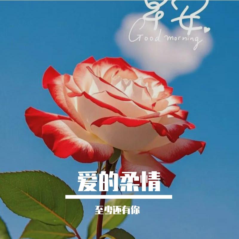 青春的笑封面