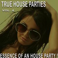 True House Parties:, Vol. 4