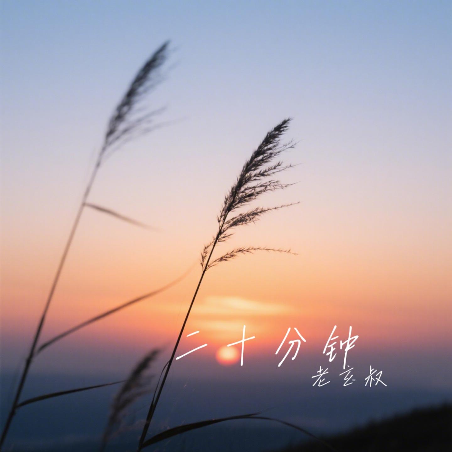 二十分钟封面
