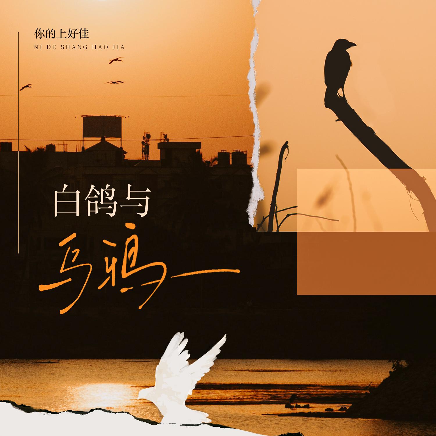 白鸽与乌鸦封面