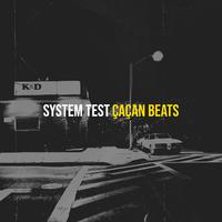 System Test