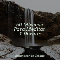 50 Músicas Para Meditar Y Dormir