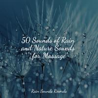 50 Sounds of Rain and Nature Sounds for Massage