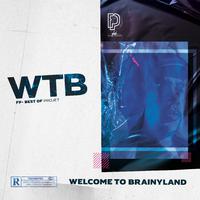 Welcome To Brainyland