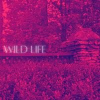 Wild Life