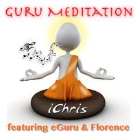 Guru Meditation (Radio Single)