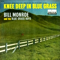 Knee Deep in Bluegrass