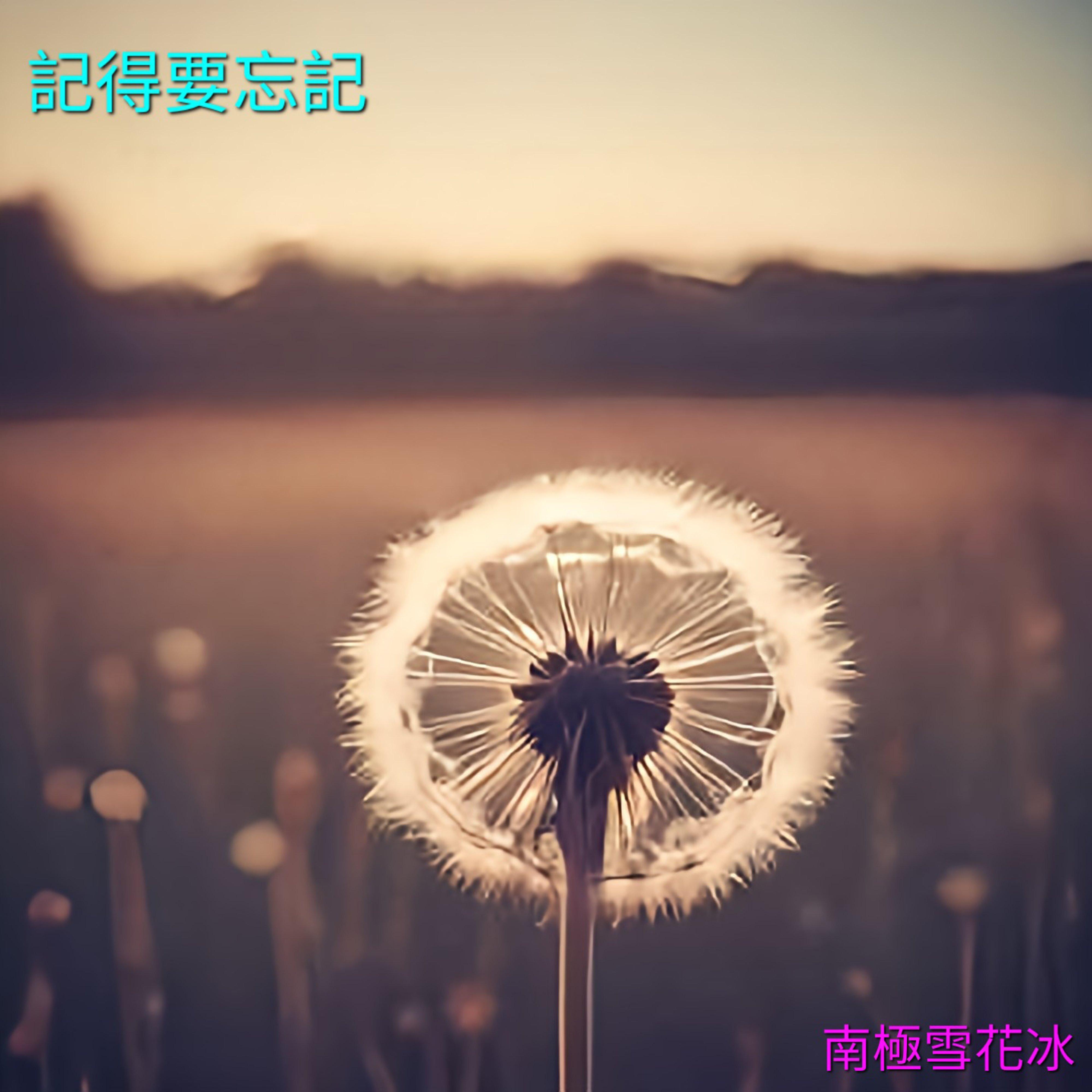 记得要忘记封面