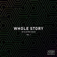 Whole Story Of Electro House Vol. 1