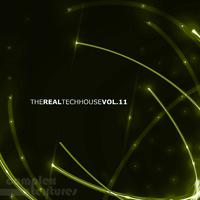 The Real Techhouse, Vol. 11