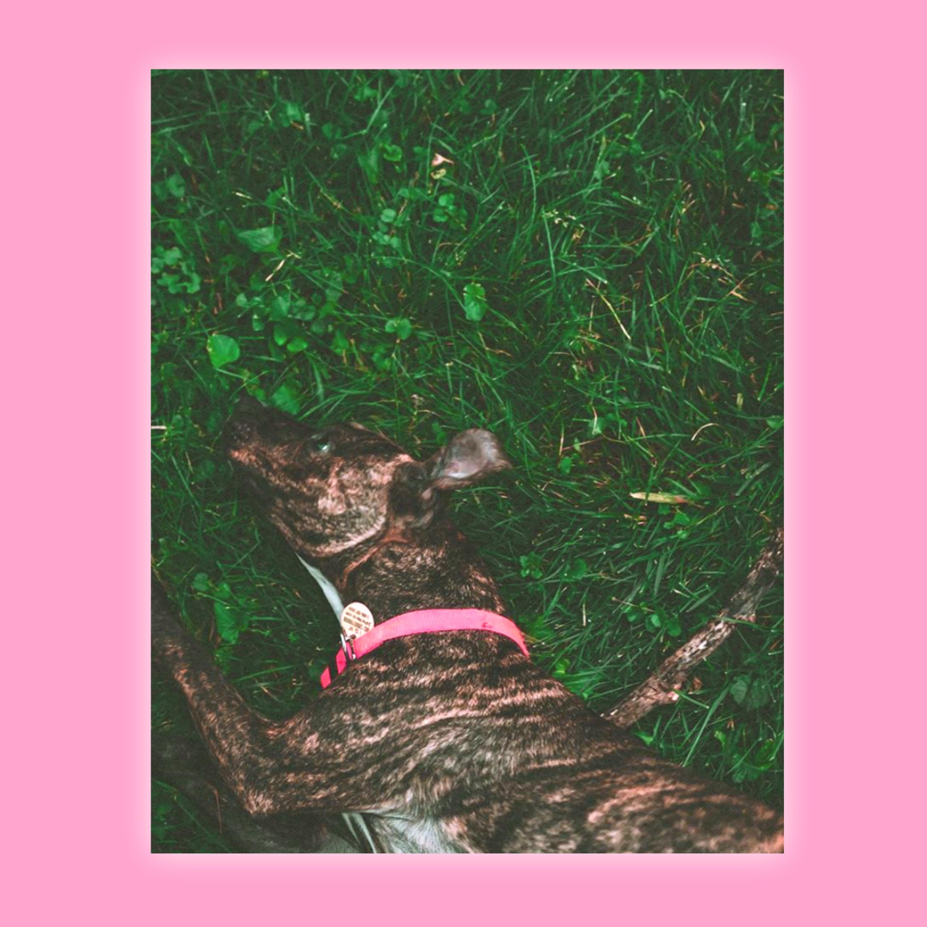 QTs (with CRYE & LEAM)