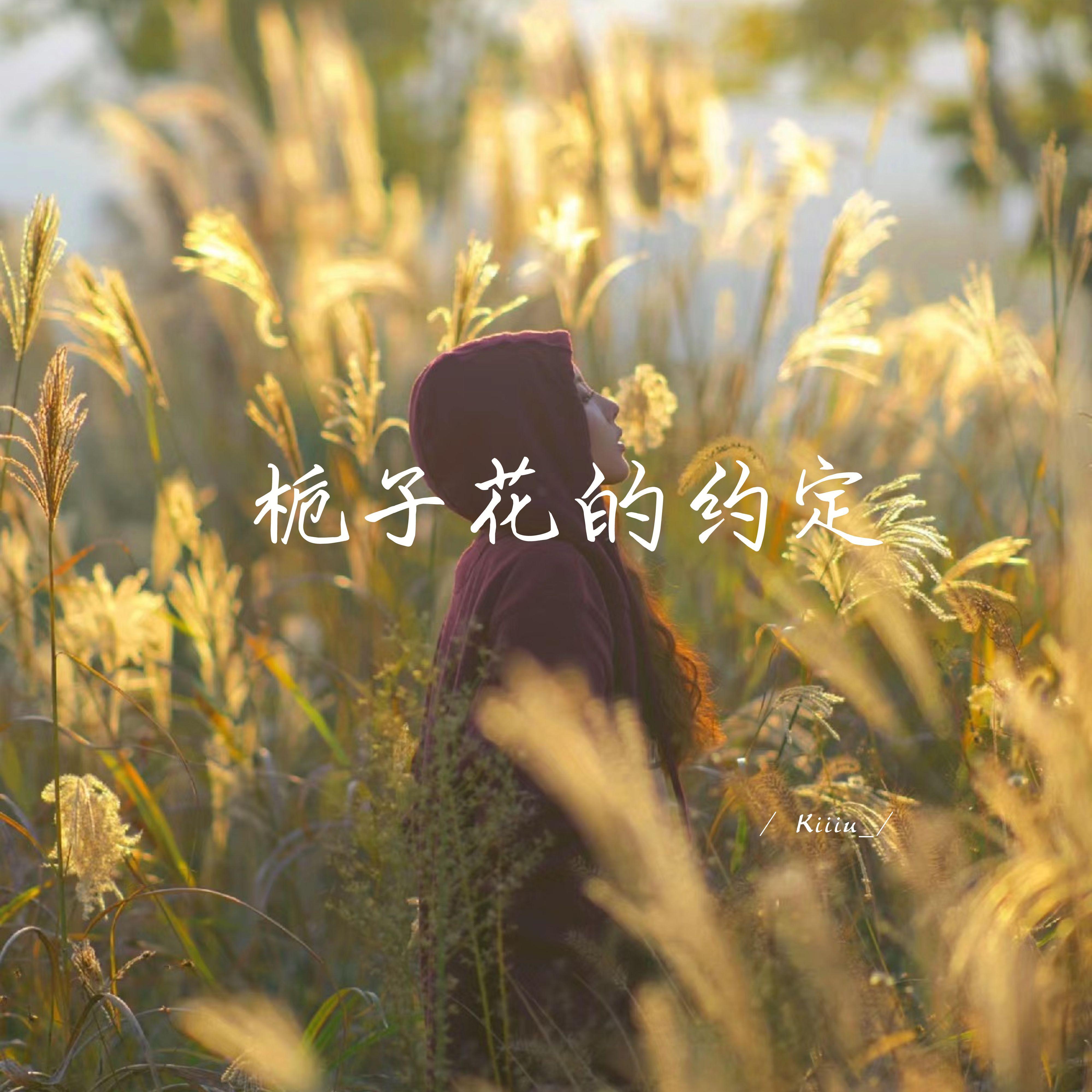 栀子花的约定 (1.1加速版)封面