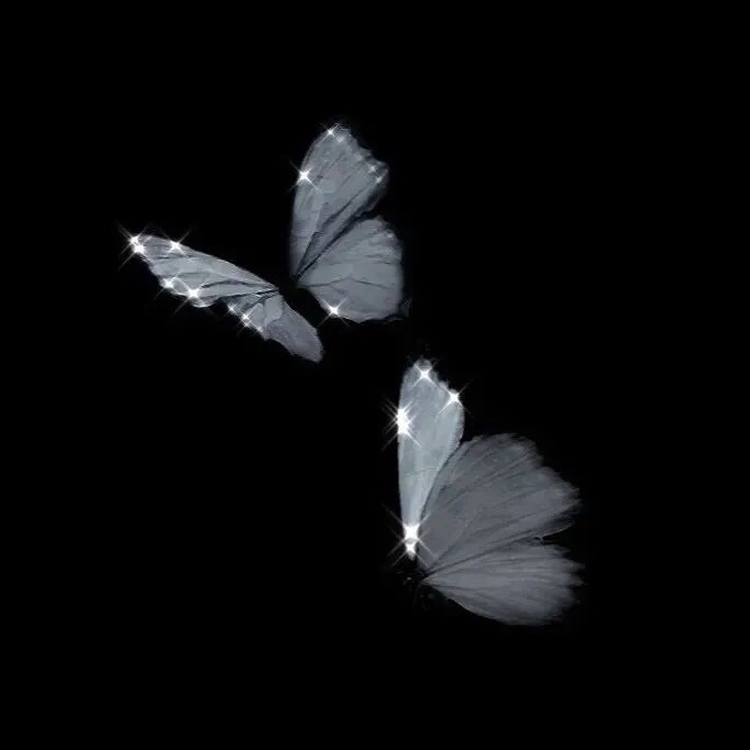 有一天这首歌会变老