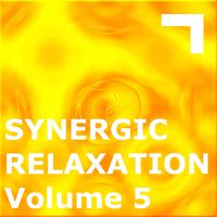 Synergic Relaxation – Session 5