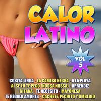 Calor Latino Vol.5