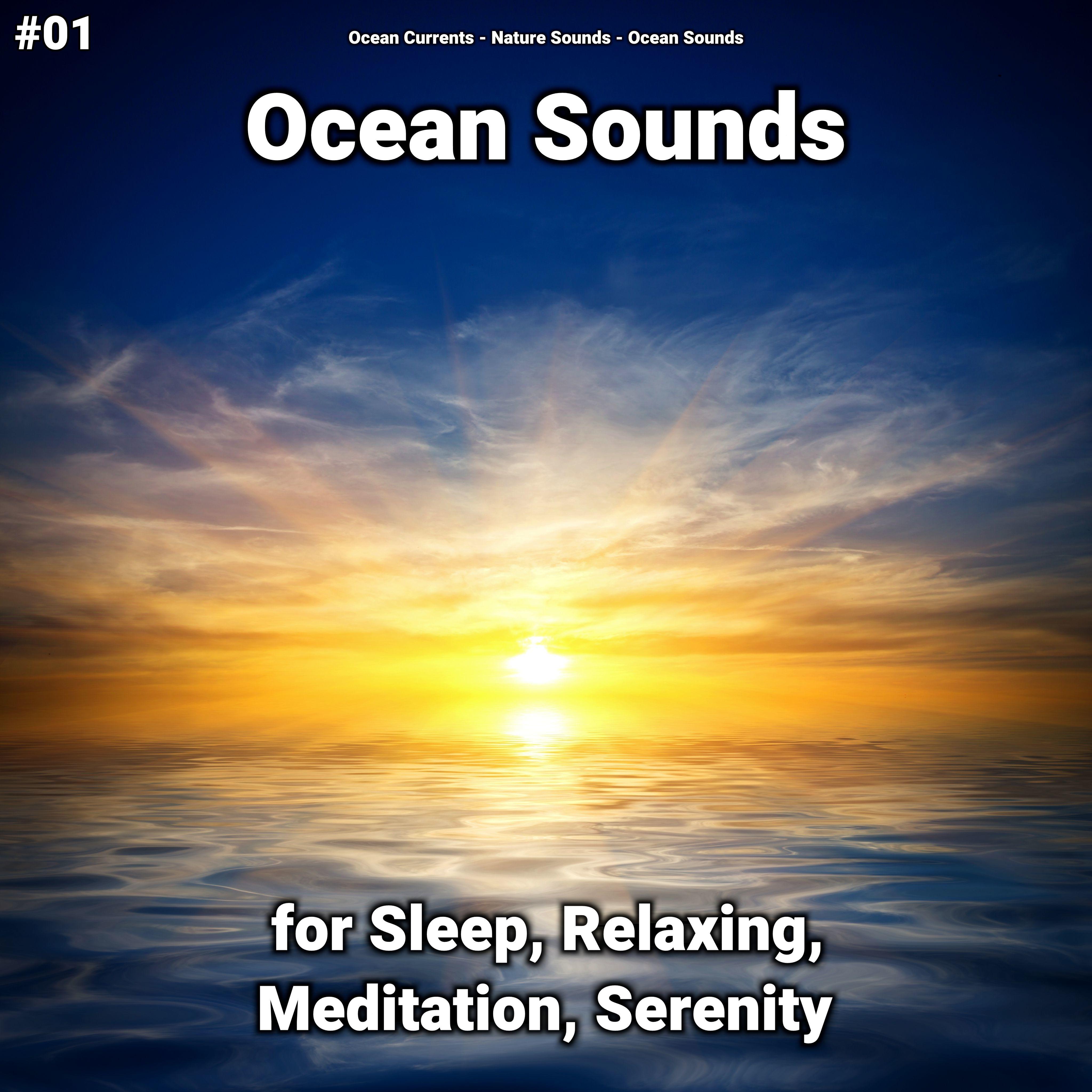 Ocean Sounds Pt. 69