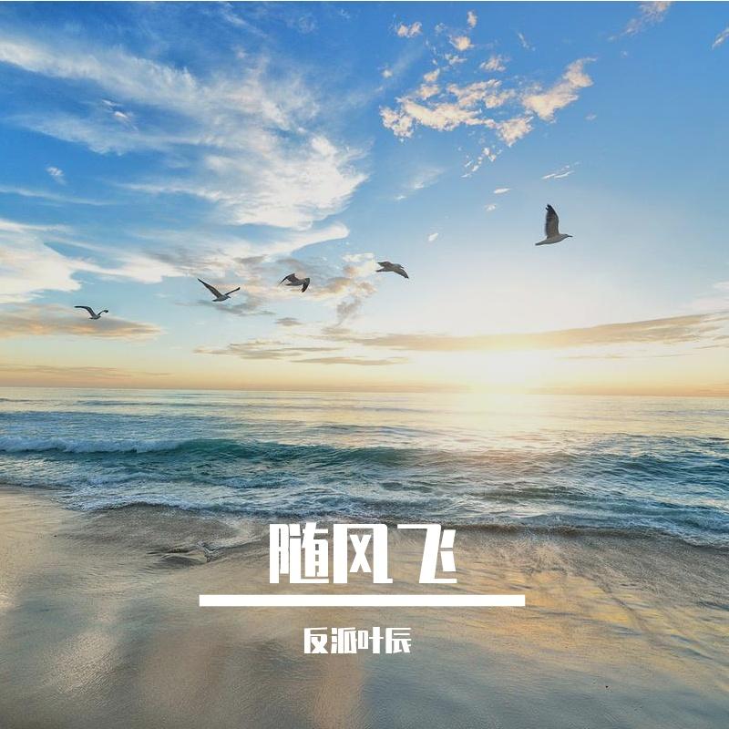 海盗封面