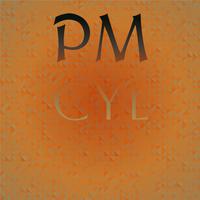 Pm Cyl