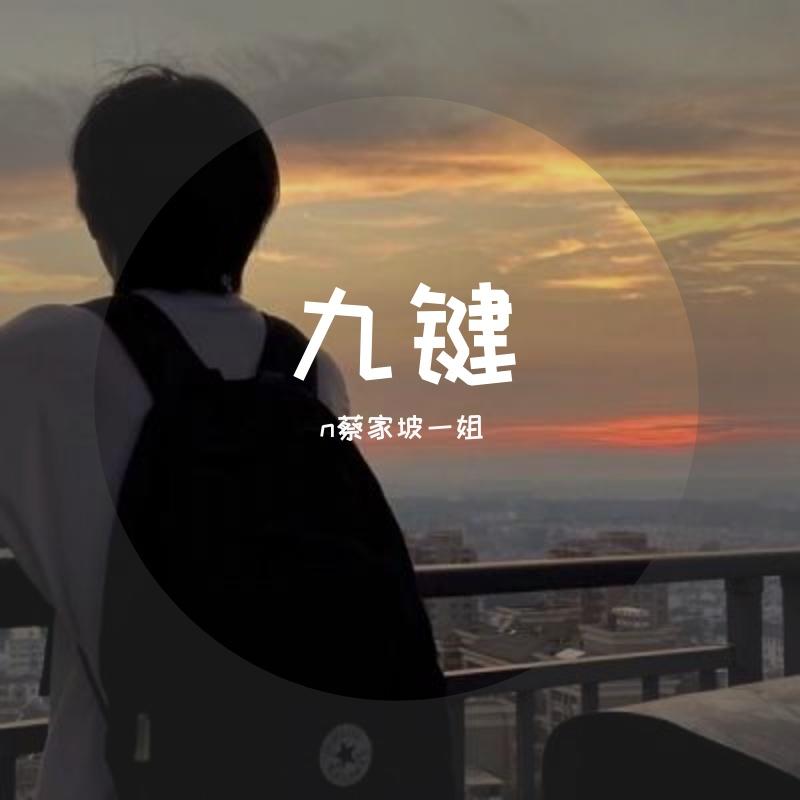 夏天的风封面