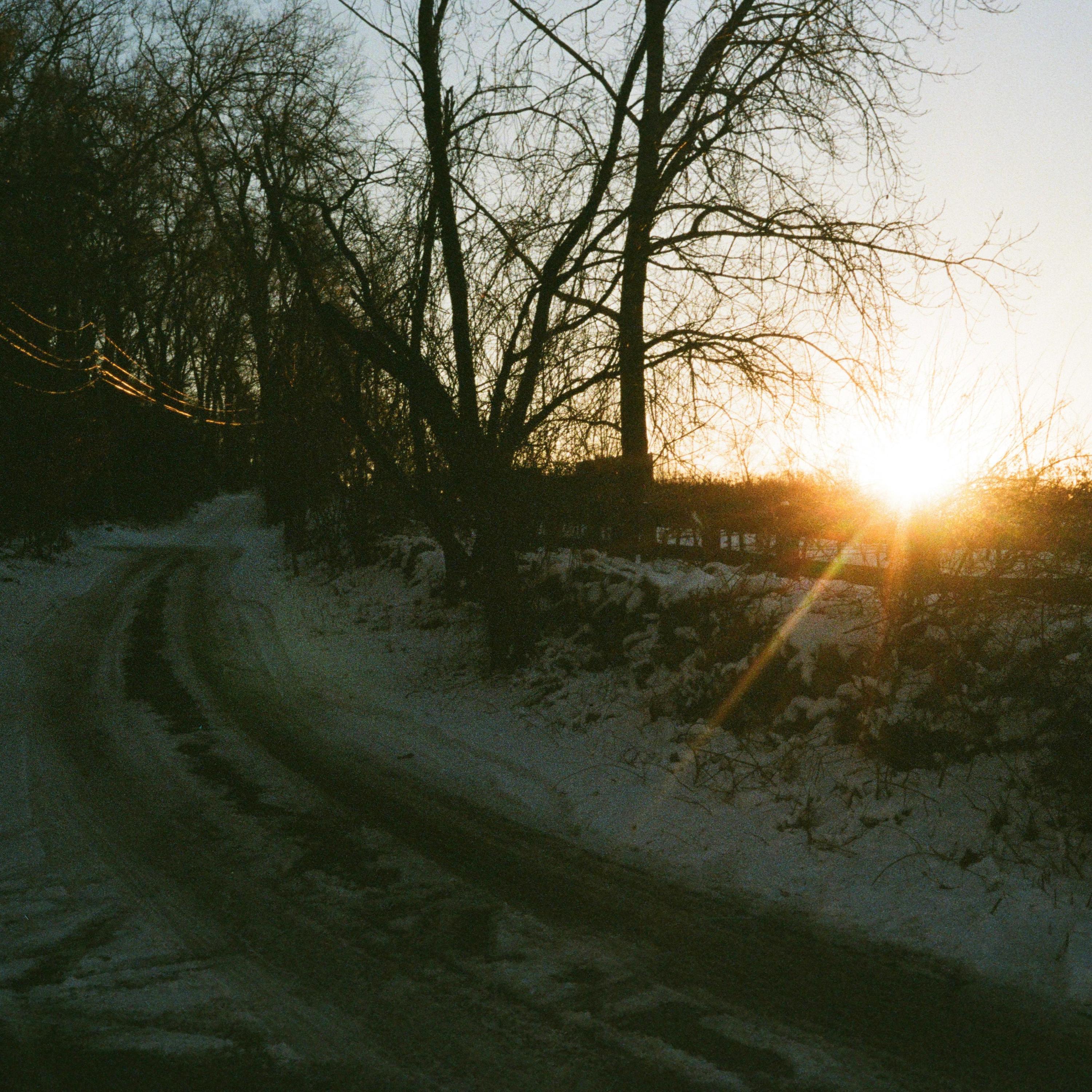 the elegance of sleep