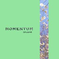 momentum