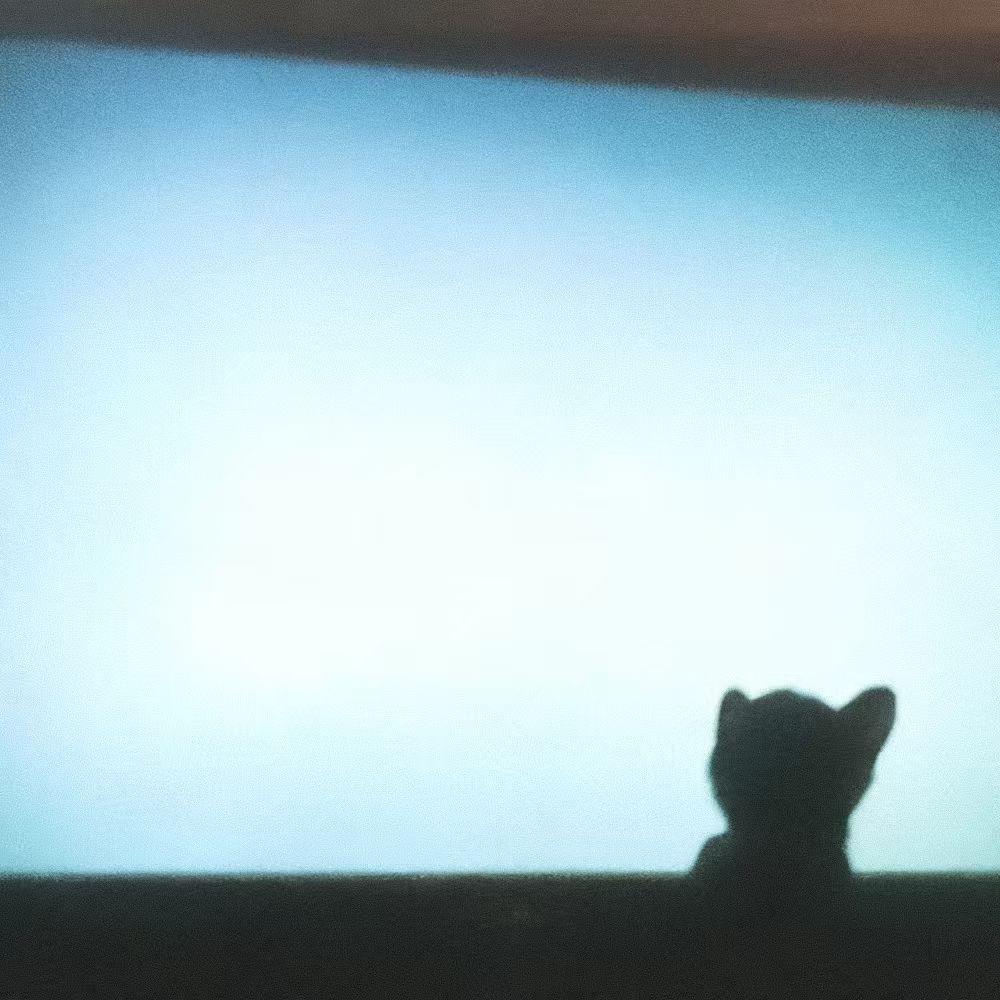 还在亮着的电脑