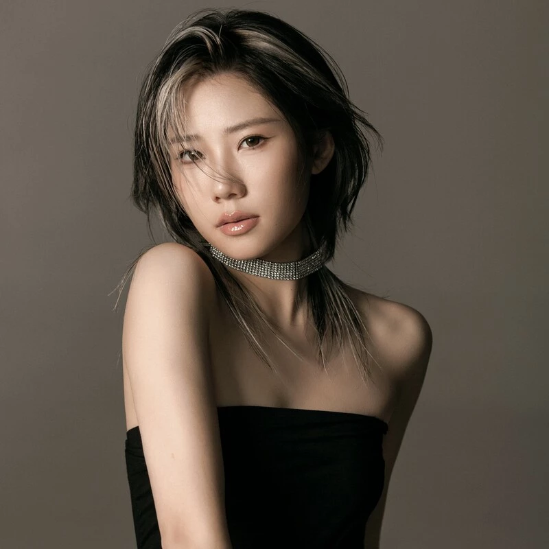 风吹故乡岸 (DJ版)