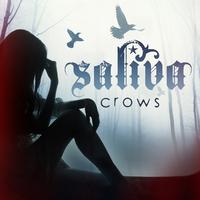 Crows